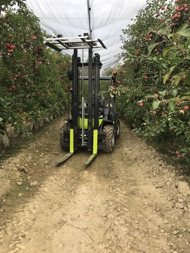 Chariot élévateur TW17